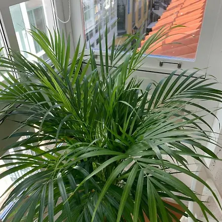 Oktheway Coruña Historic Center Apartamento A Coruña