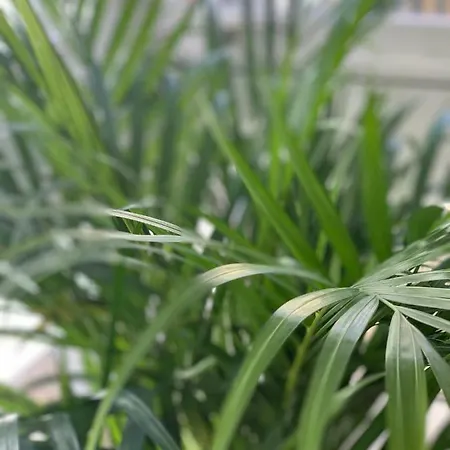 Oktheway Coruña Historic Center Apartamento